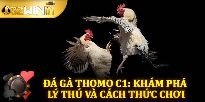 Đá Gà Thomo C1: Khám Phá Lý Thú và Cách Thức Chơi