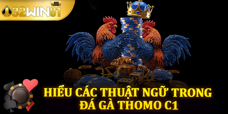 Hiểu Các Thuật Ngữ Trong Đá Gà Thomo C1
