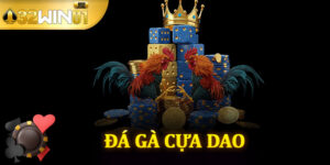 Đá Gà Cựa Dao