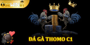 Đá Gà Thomo C1